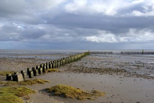 Wadden