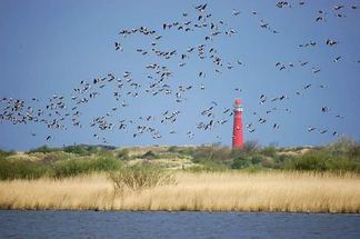 Waddengebied