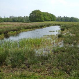 Nederlandse platteland op slot door Natura 2000